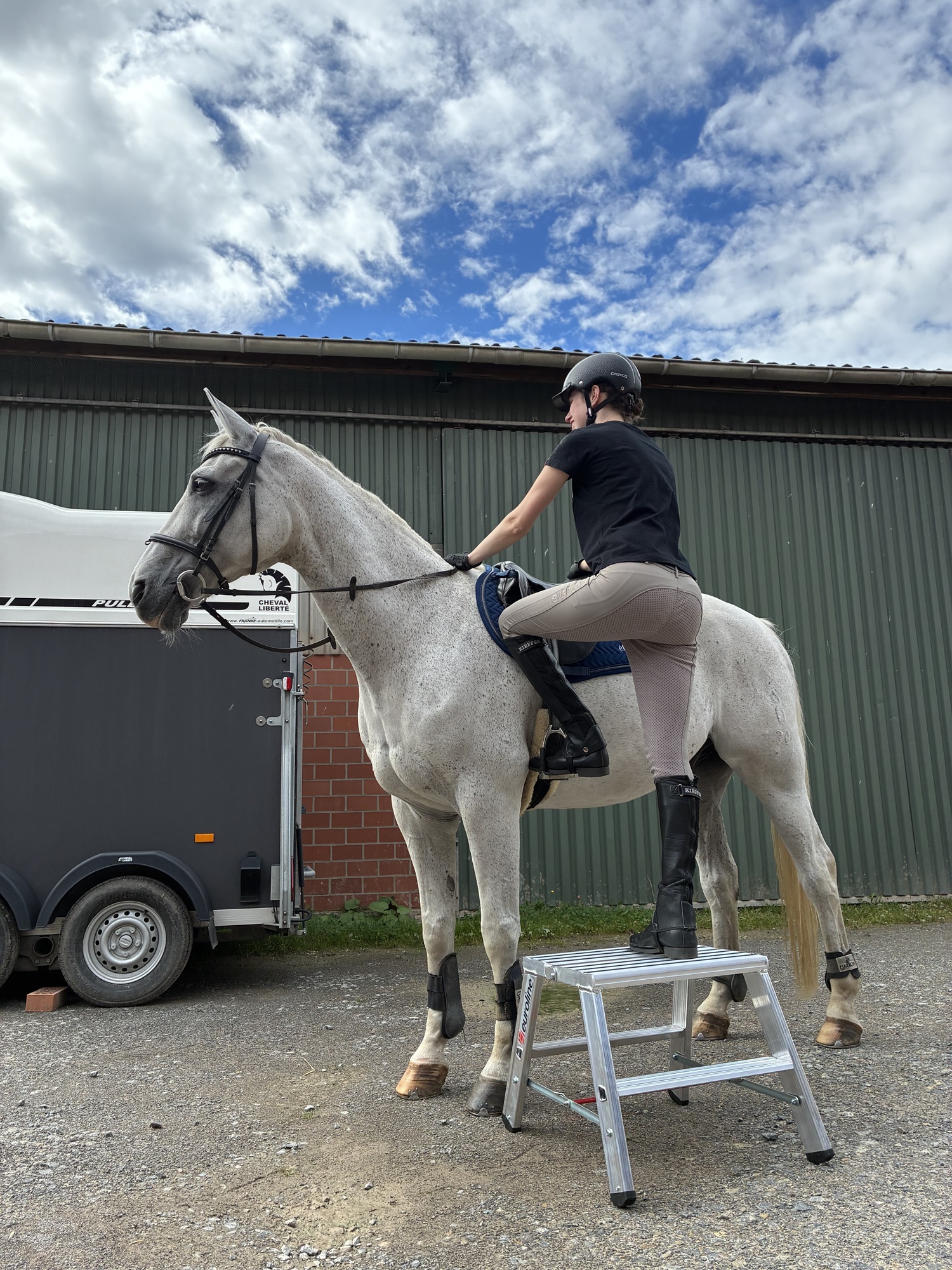 Aufstiegshilfe f&uuml;r Pferde &ndash; sicher, stabil und r&uuml;ckenschonend aufsteigen